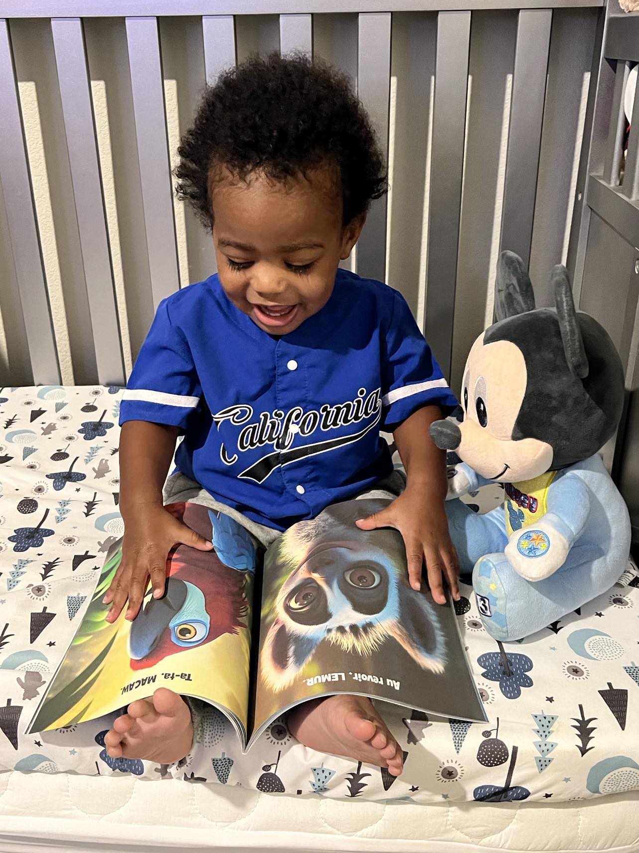 Night, Night Safari: Farwell Fun with Furry Friends