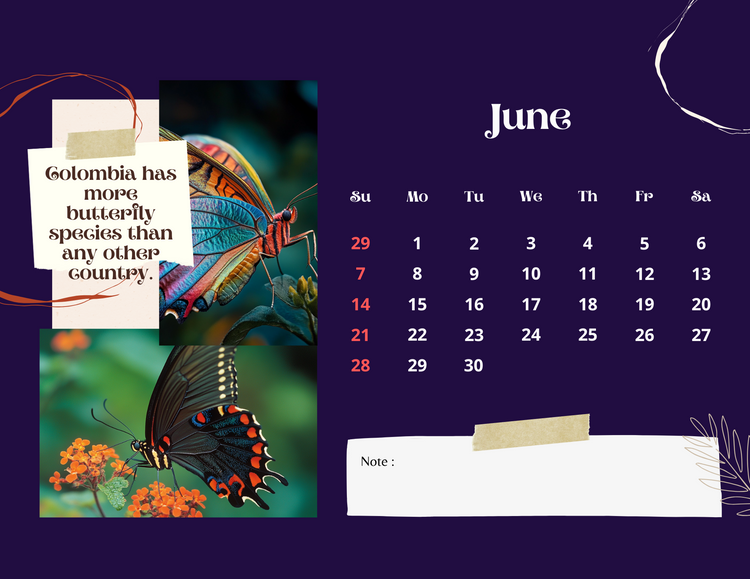 2026 Adventures In Zen Calendar- Wild Wisdom Edition