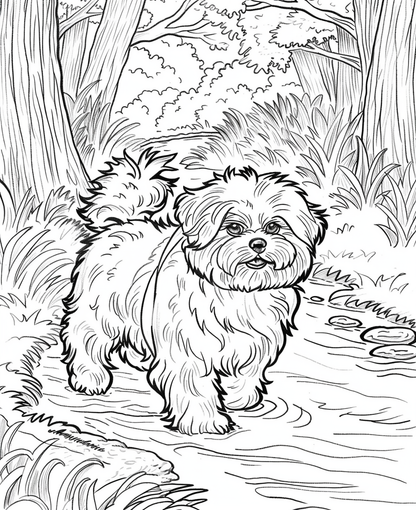 FREE Simple Coloring Pages
