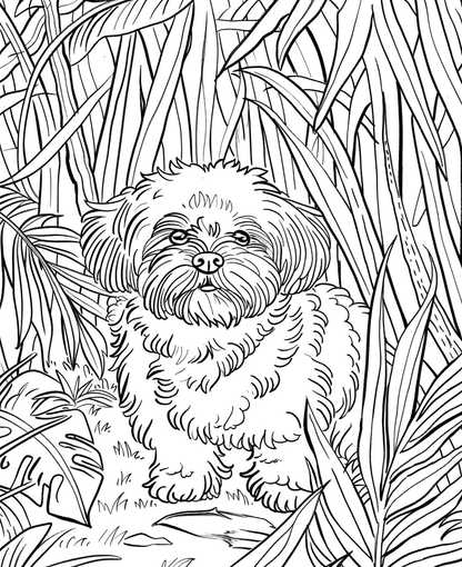 FREE Simple Coloring Pages